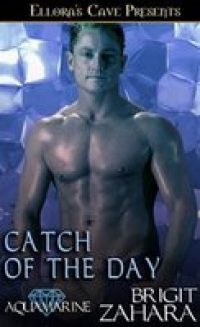 Aquamarine: Catch of the Day