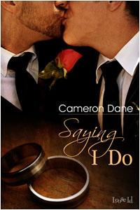 Saying I Do (Quinn Security #3)