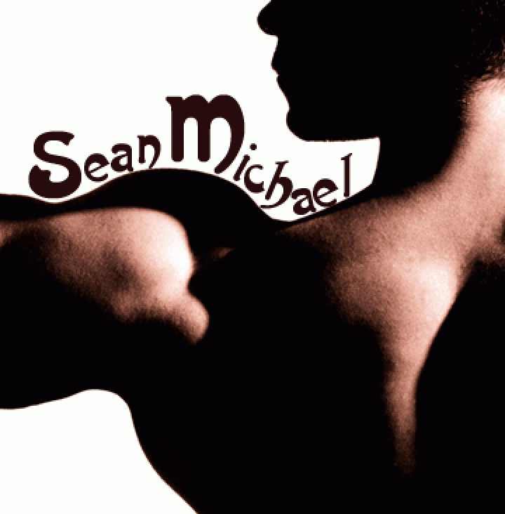 Ins and Outs of M/M Romance: How Do You Write M/M Fiction? by Sean Michael