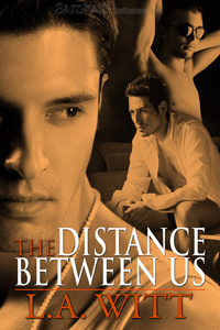 The Distance Between Us  (Distance Between Us #1)