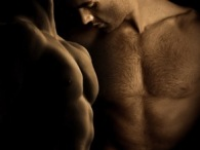 Ins and Outs of M/M Romance: Taking the Long Way Home by Josh Lanyon