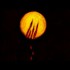 Hunter’s Moon (Insolita Luna #1)