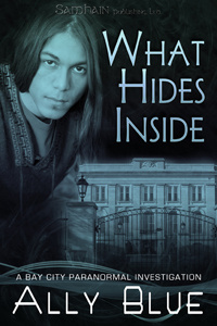 Ally Blue’s Bay City Paranormal Investigations