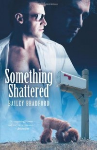 Something Shattered