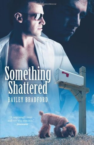 Something Shattered