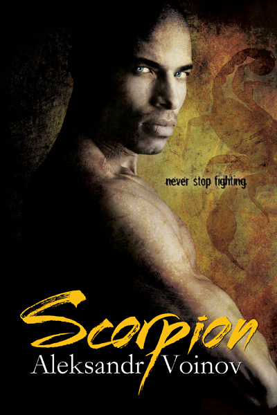 My Top Book Covers of 2011