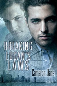 Breaking Logan’s Laws (Quinn Security #4)