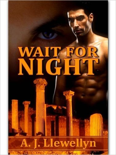 Wait for Night