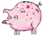 For Love of Books Interview – TeddyPig