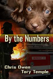 By The Numbers (Admin’s Review)