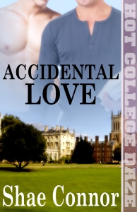 Accidental Love
