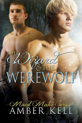 The Wizard and the Werewolf