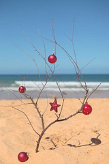 The Unconventional Christmas —- by Lisa Henry