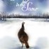 Turkey in the Snow