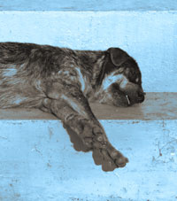 Sleep On It: Notion Potion #11 by Jordan Castillo Price