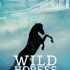 Wild Horses