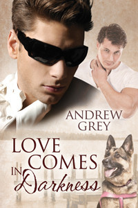Love Comes In Darkness (Senses #2)