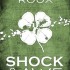 Shock & Awe (Sidewinder #1)