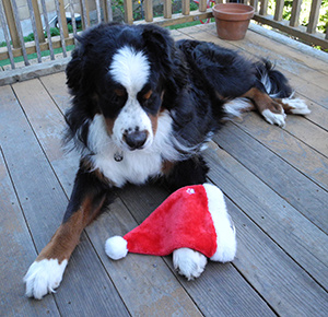 Happy Christmas (and thank goodness it’s just about over)