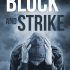Block and Strike (Natosha’s Review)