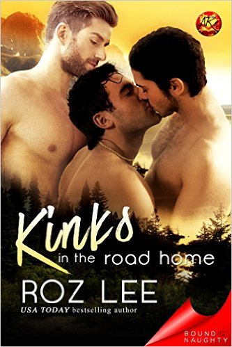 Kinks in the Road Blog Tour