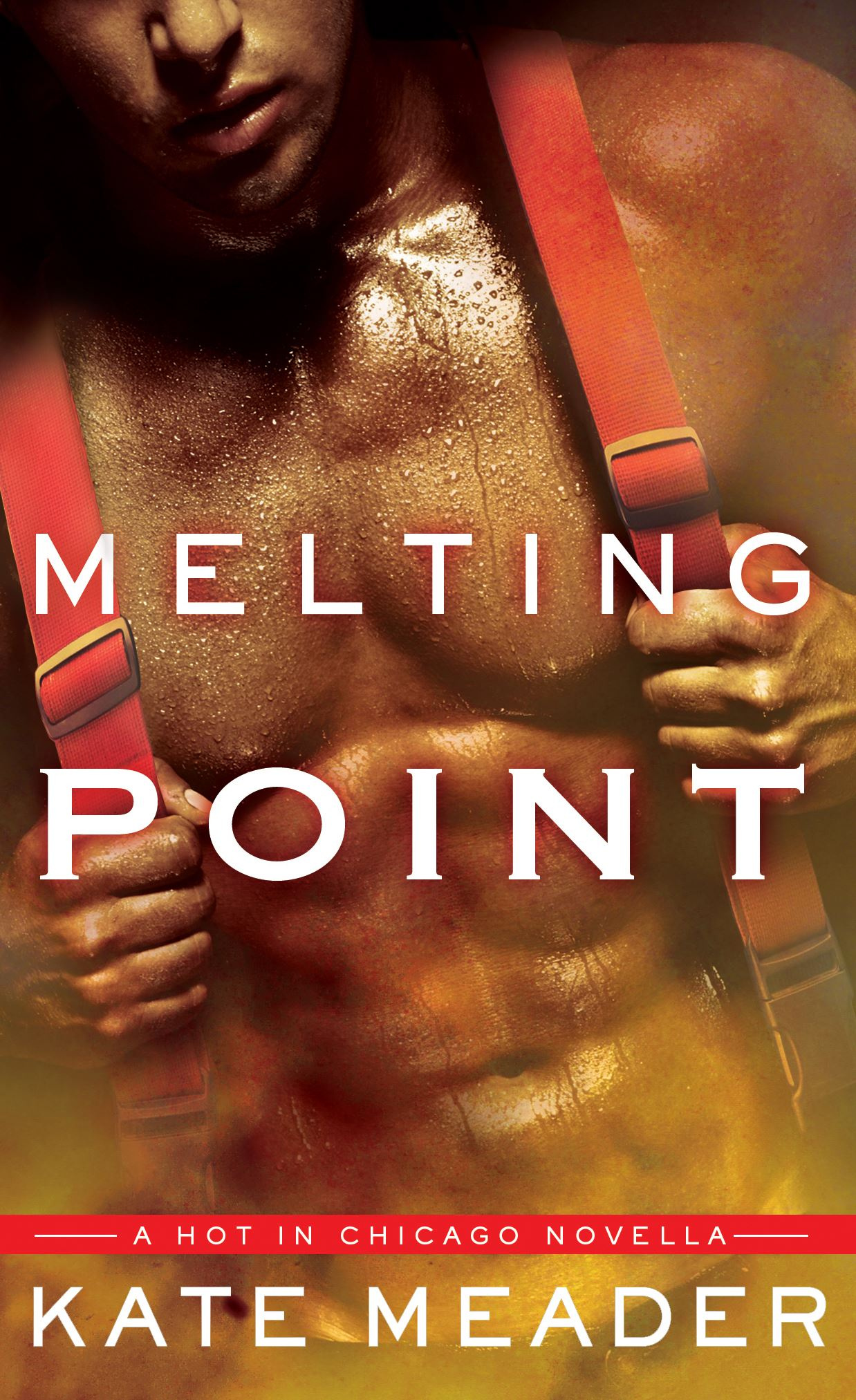 Melting Point (Hot in Chicago #1.5)