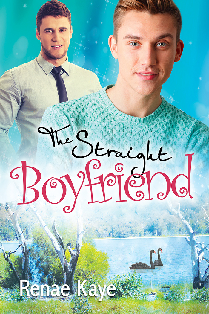 The Straight Boyfriend (Natosha’s Review)