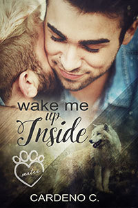 Wake Me Up Inside (Vallie’s Review)