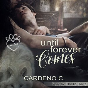 Until Forever Comes (Audio)