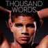 A Hundred Thousand Words