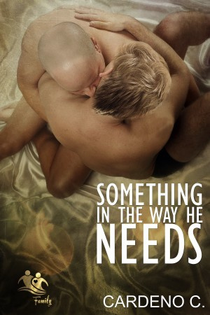 Something in the Way He Needs (Vallie’s Review)