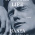 A Little Life