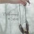 Withered + Sere (Vallie’s Review)