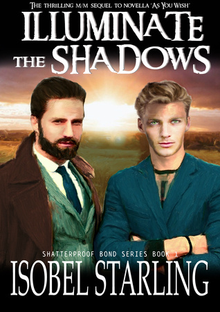 Illuminate the Shadows (Shatterproof Bond Book 1) Lily G’s Review
