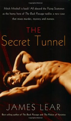 The Secret Tunnel (Mitch Mitchell Mystery #2)