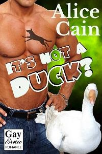 It’s Not a Duck? (Seriously? #5)