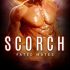 Scorch (Dragon’s Destiny: Fated Mates #2)