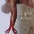 Crisped + Sere (Renée’s review)