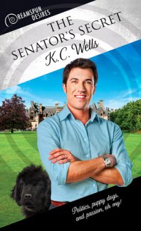 The Senator’s Secret (PIU’s Review)
