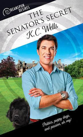 The Senator’s Secret (PIU’s Review)