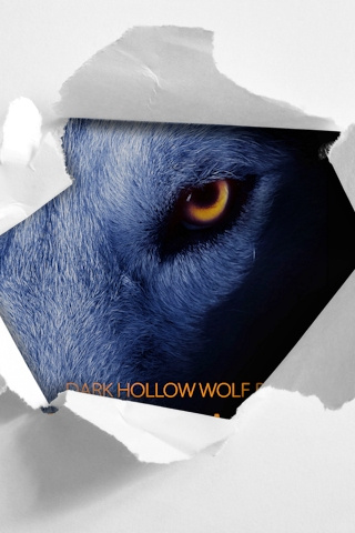 Civil War (Dark Hollow Wolf Pack) Cover Reveal!