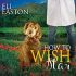 How to Wish Upon a Star (Audio Review)
