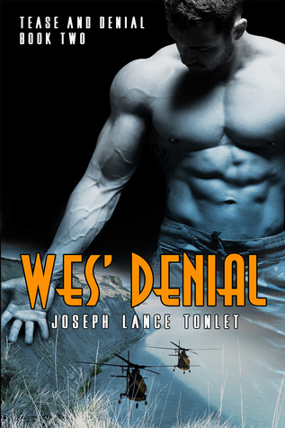 Wes’ Denial (Lily G’s Review)
