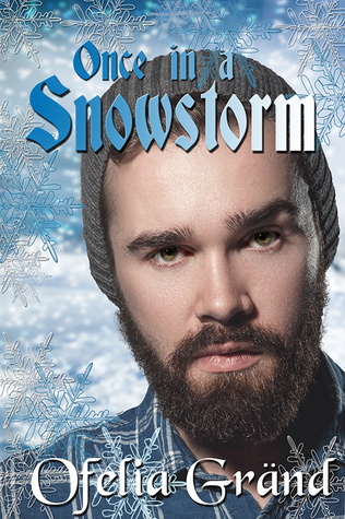Once in a Snowstorm (Lily G’s Review)