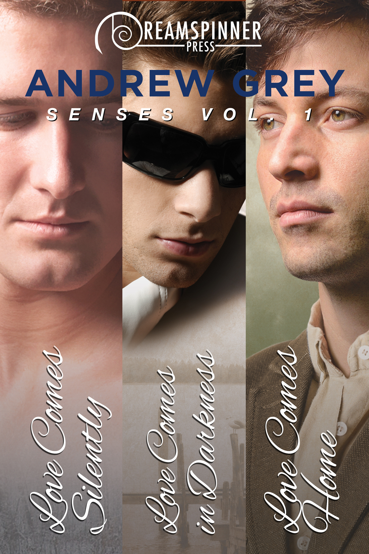 Senses Vol.1 (Dreamspinner Press Bundles)