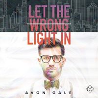Let the Wrong Light In (Audiobook)