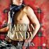 Tartan Candy (Fabric Hearts #1)