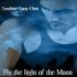 By the Light of the Moon (Assassin/Shifter #3)