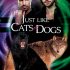 Just Like Cats and Dogs (Kristin’s Review)