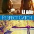 Perfect Catch by N.R. Walker